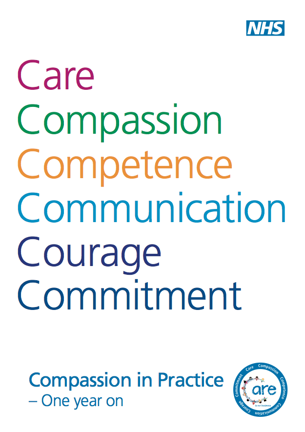 Screen Shot CiP report